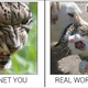 Illustration for article titled Japans Internet You Vs. the Real You Meme